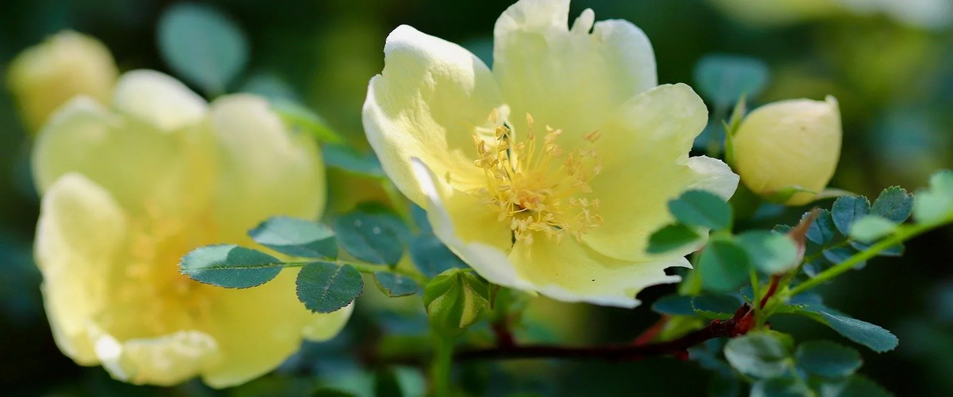 赌博网站PG电子